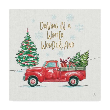 Trademark Fine Art Daphne Brissonnet 'Christmas in the Country IV' Canvas Art, 35x35 WAP03054-C3535GG